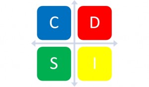 DISC ASSESSMENT GRID