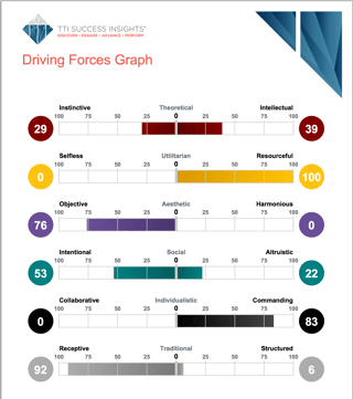 Driving Forces RMi Executive Search