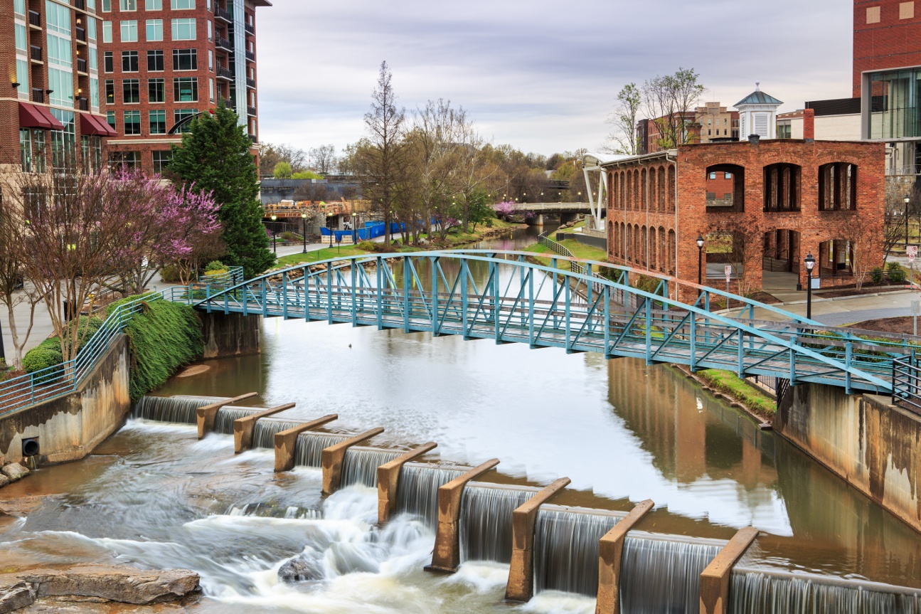 RMi Executive Search Greenville South Carolina
