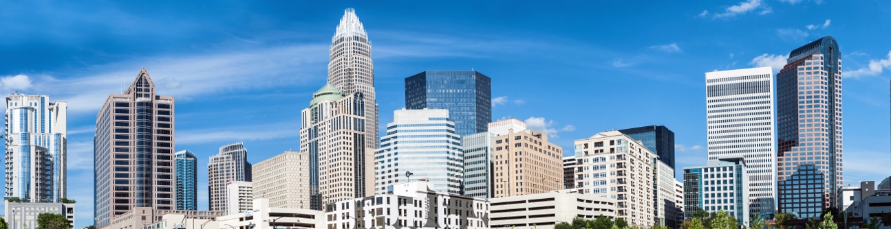RMi Executive Search Charlotte North Carolina